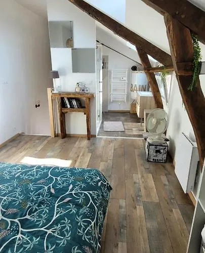 Le 6 Bis Avec Jardinet Guéméné-Penfao